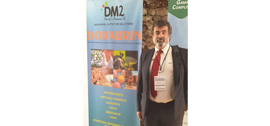 DM2 en los 50 a&ntilde;os de IACA, 2019